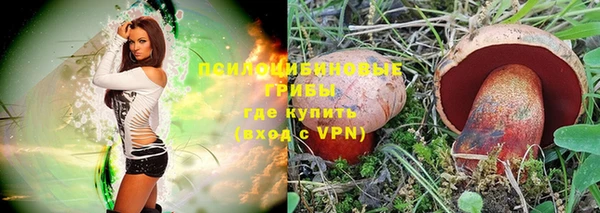 марки nbome Бородино