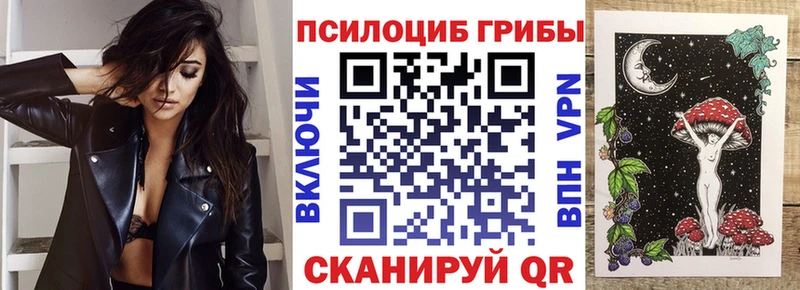 Галлюциногенные грибы прущие грибы ОМГ ОМГ вход Ярославль даркнет сайт